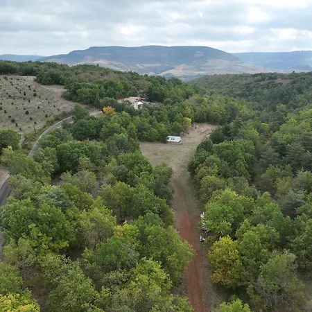 De Cayssie Проживание в семье